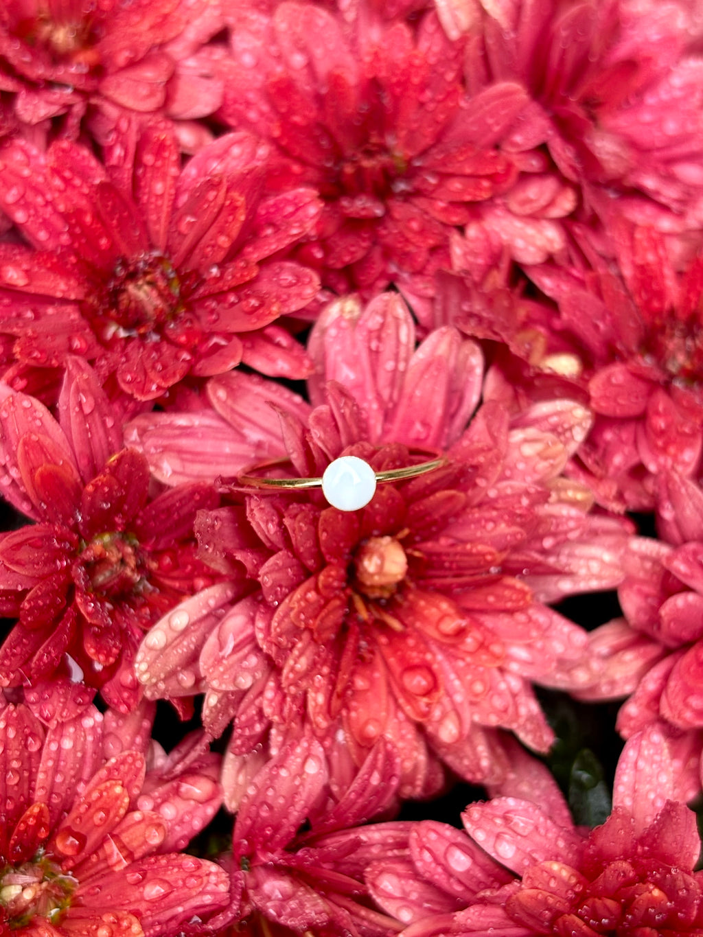 The Rachel Ring