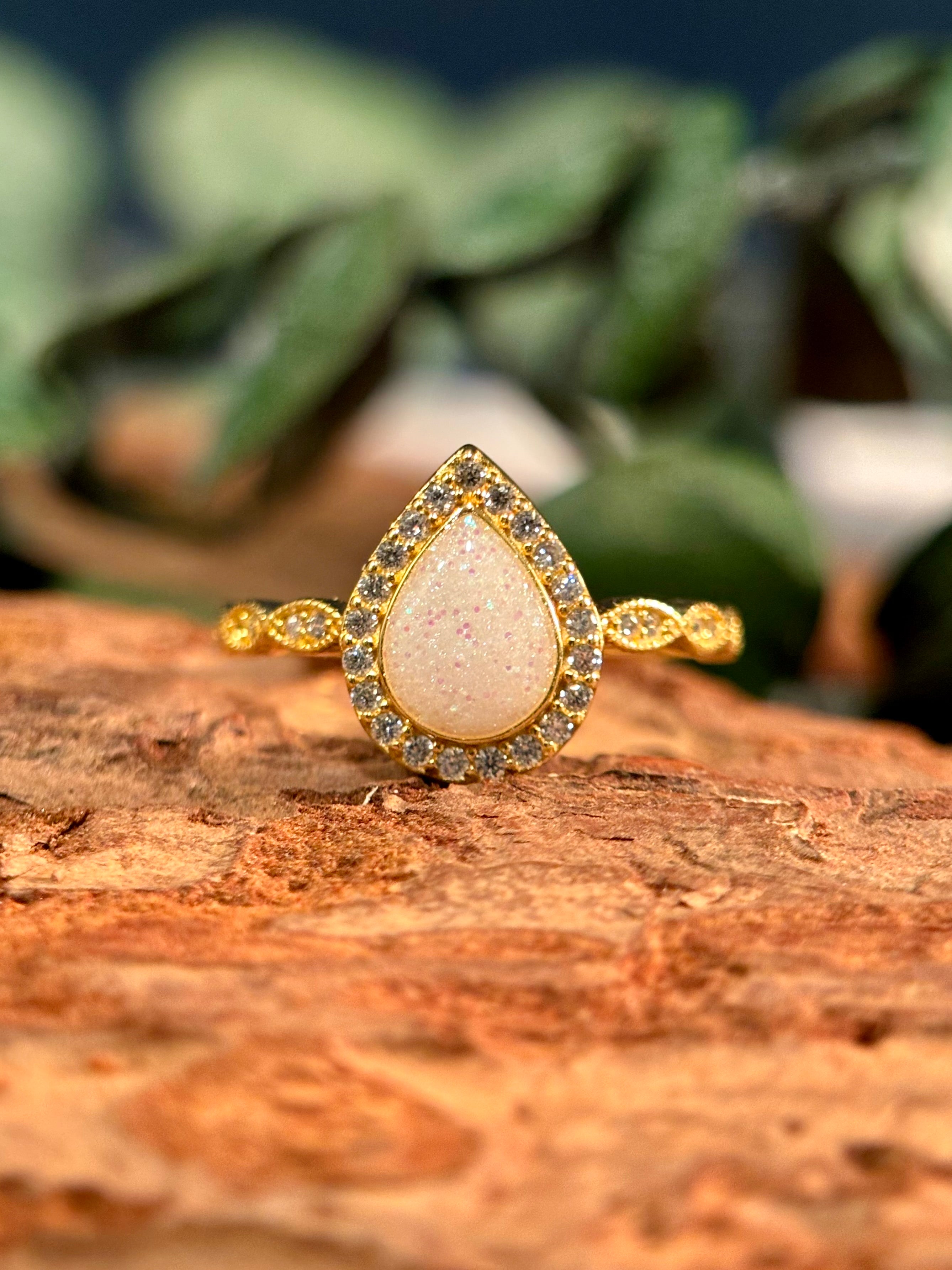 The Ari Ring