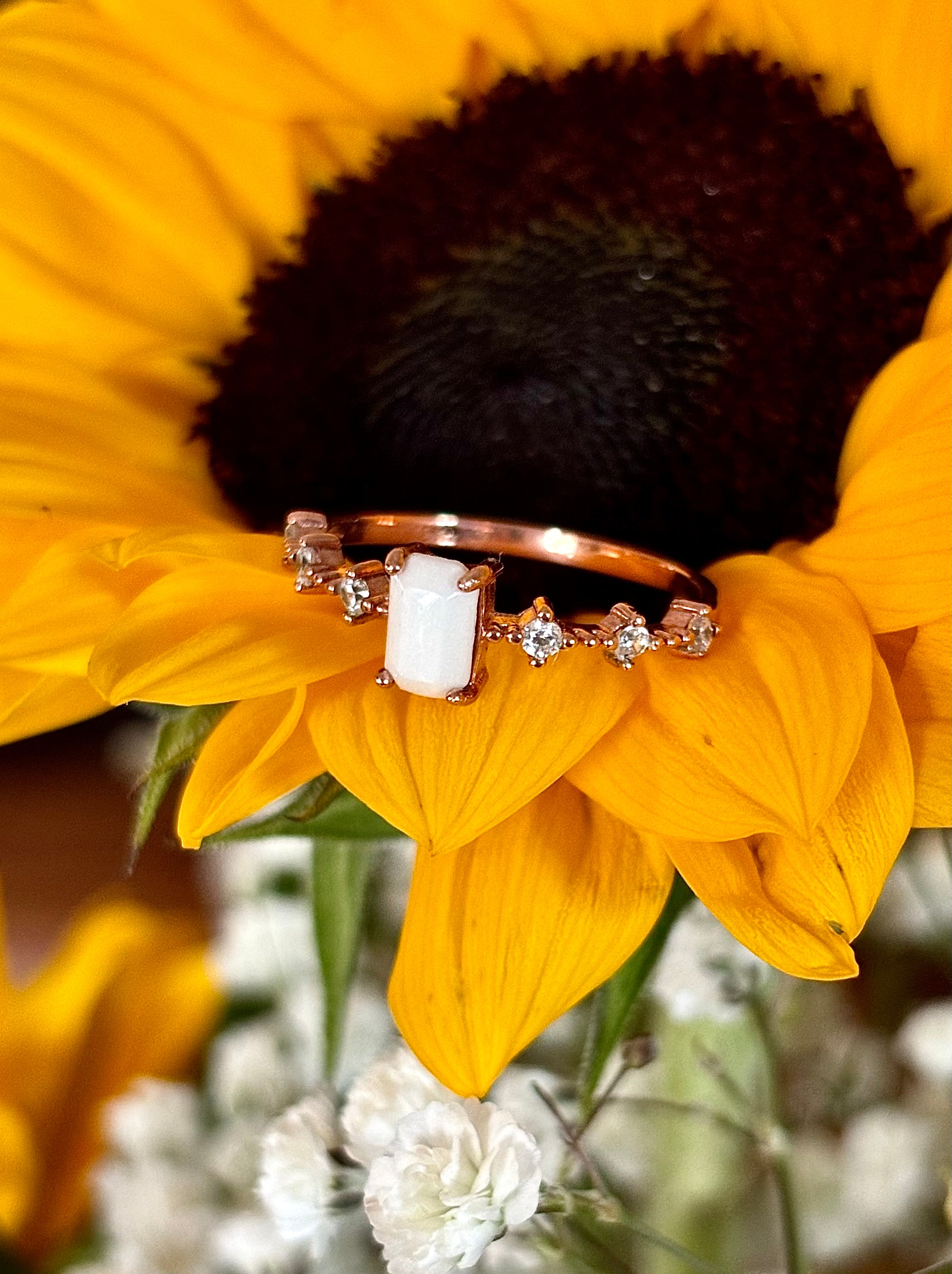 The Elvira Ring