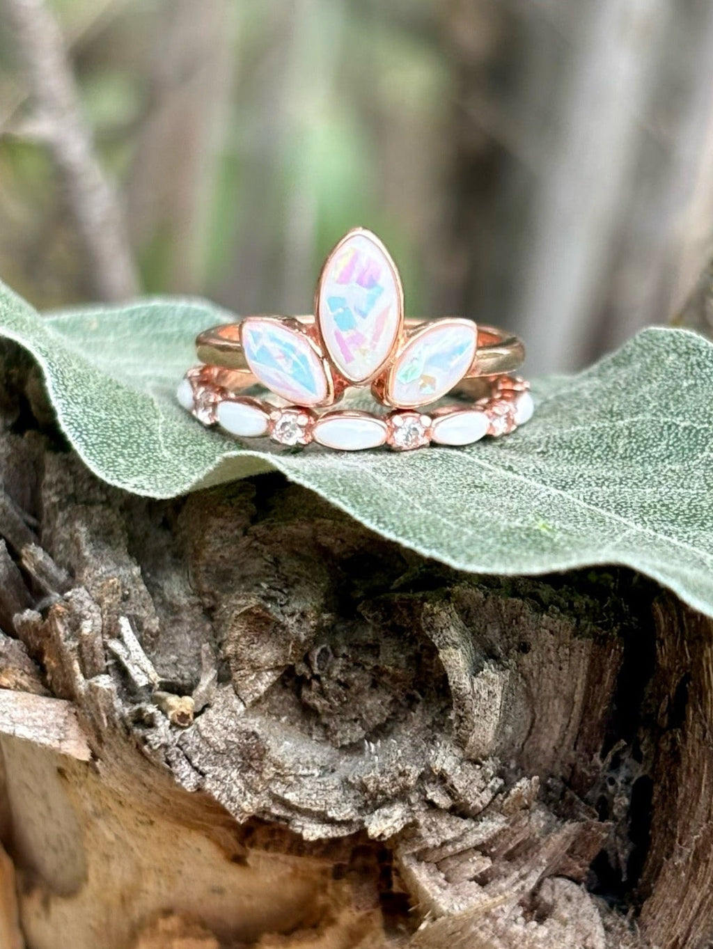 The Lilly Ring