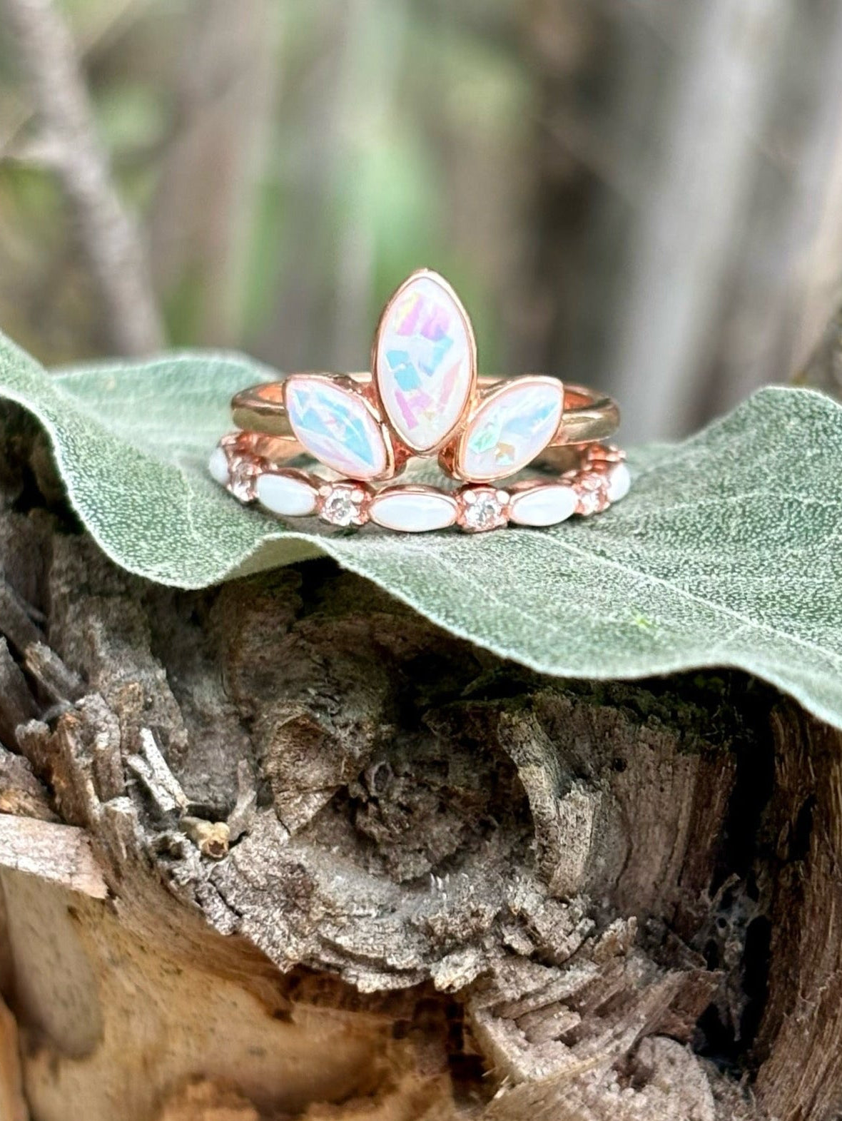 The Lilly Ring