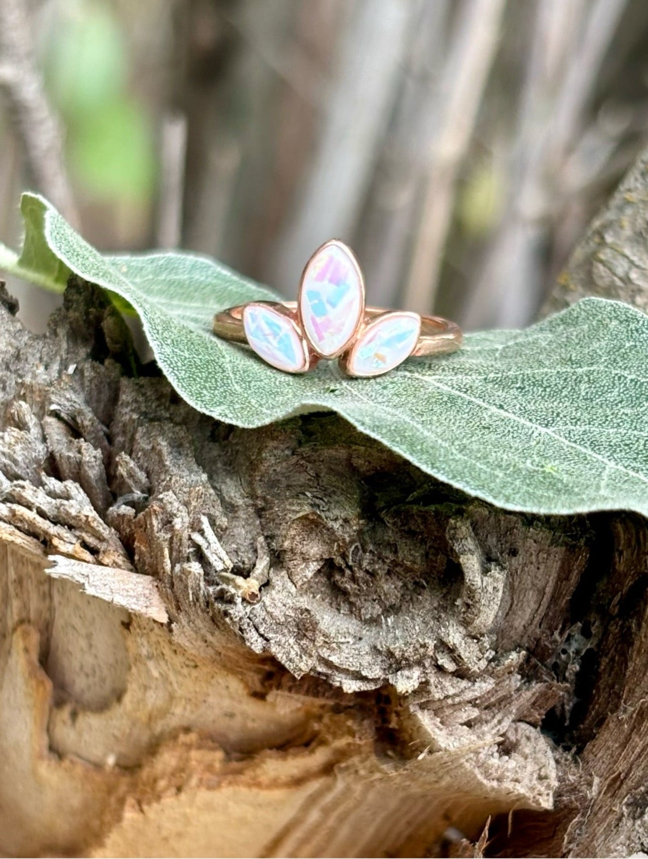 The Lilly Ring