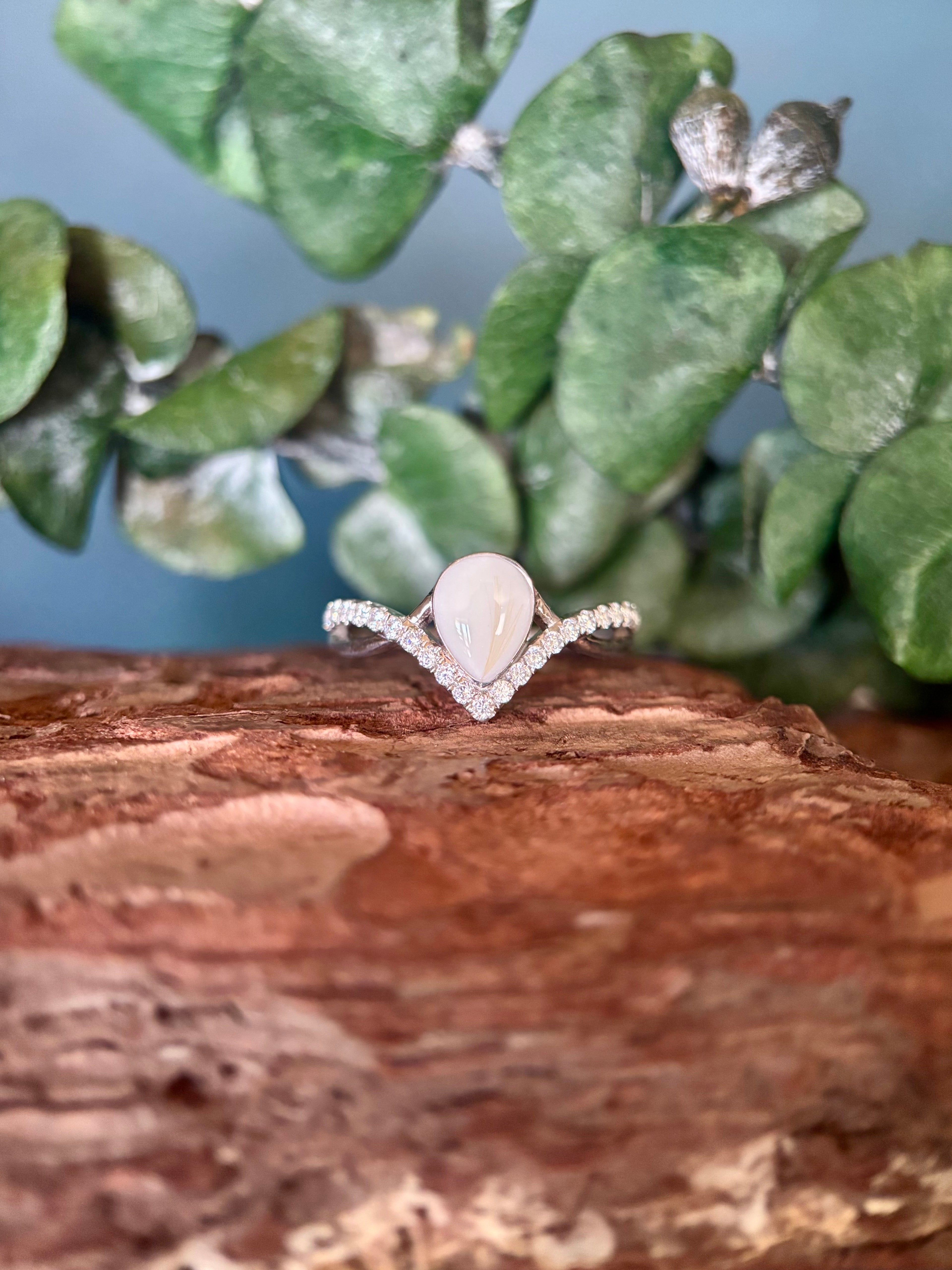 The Jeanine Ring