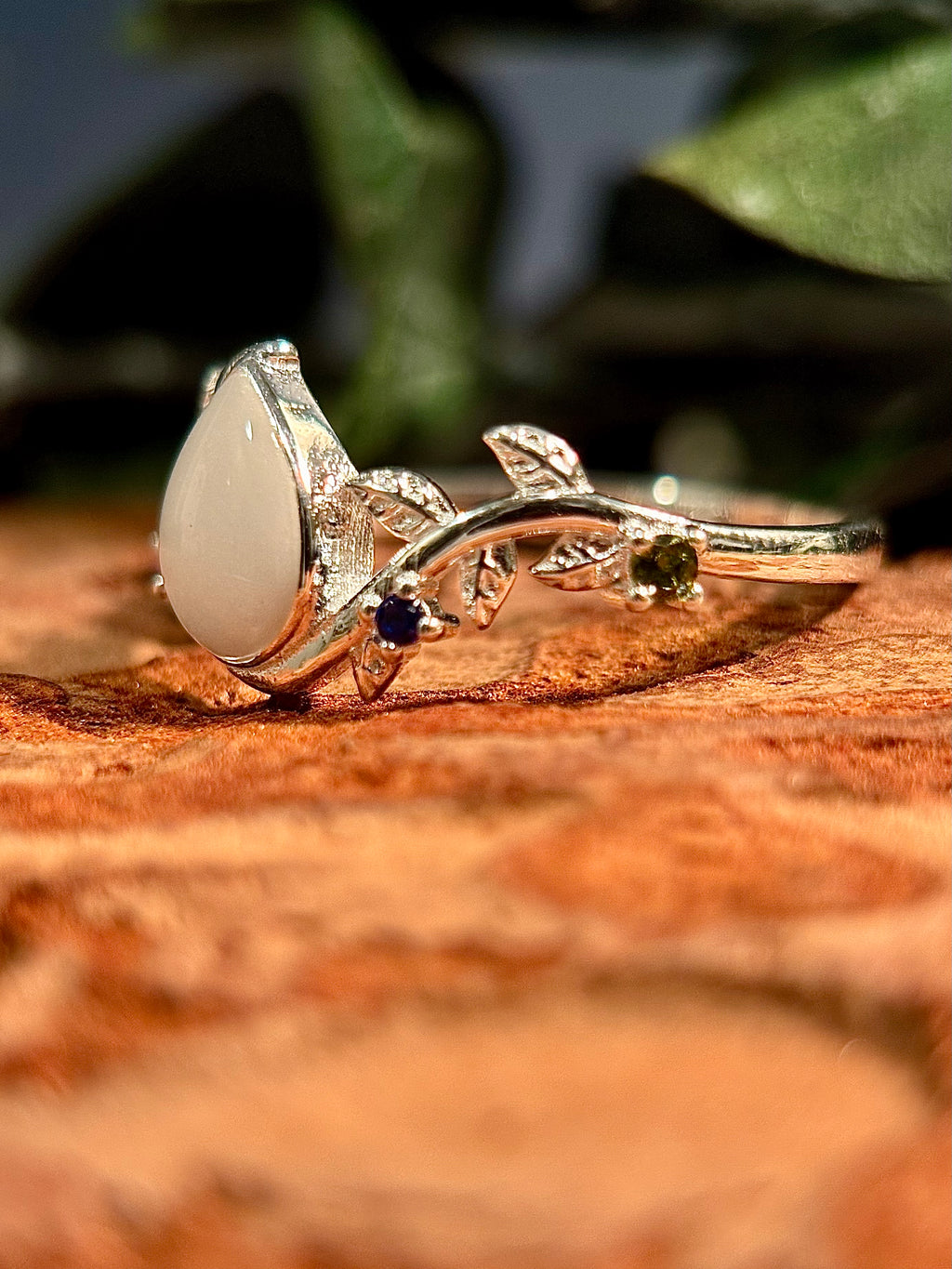 The Eva Ring