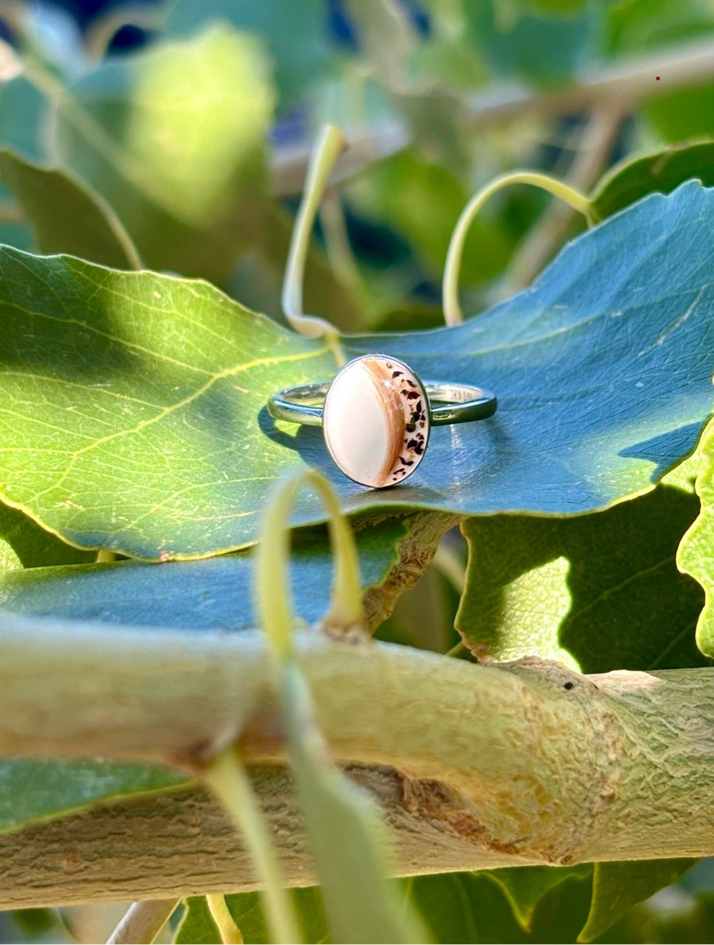 The Alice Ring