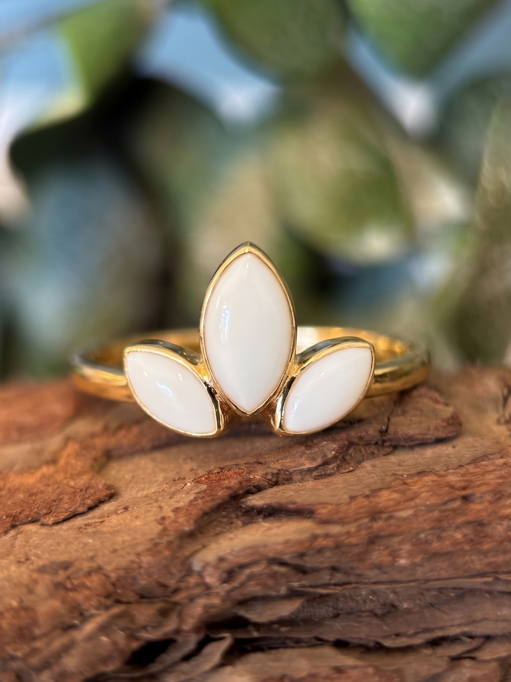 The Lilly Ring