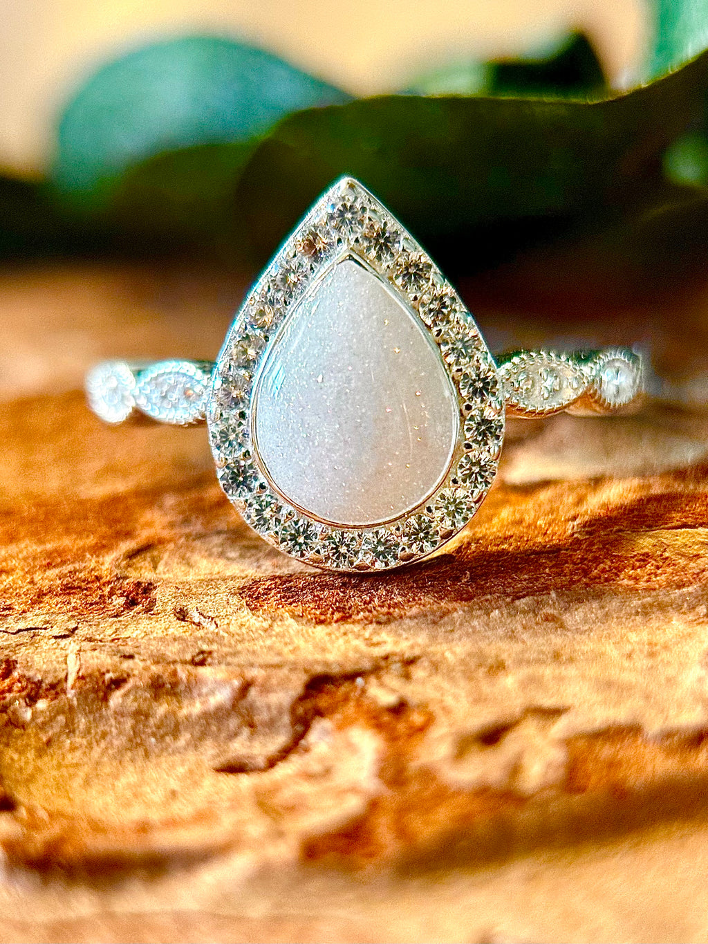 The Ari Ring