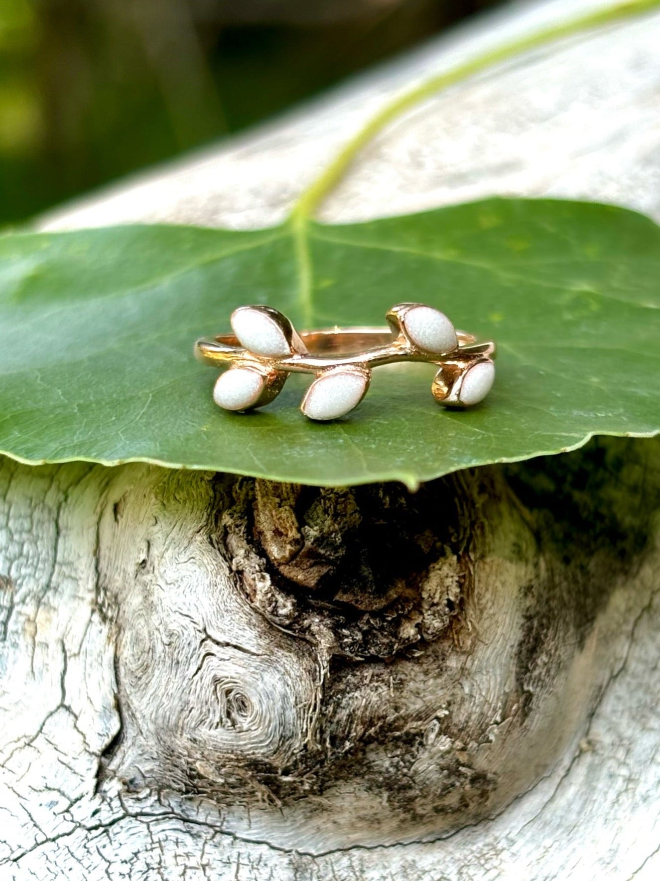 The LeAnn Ring