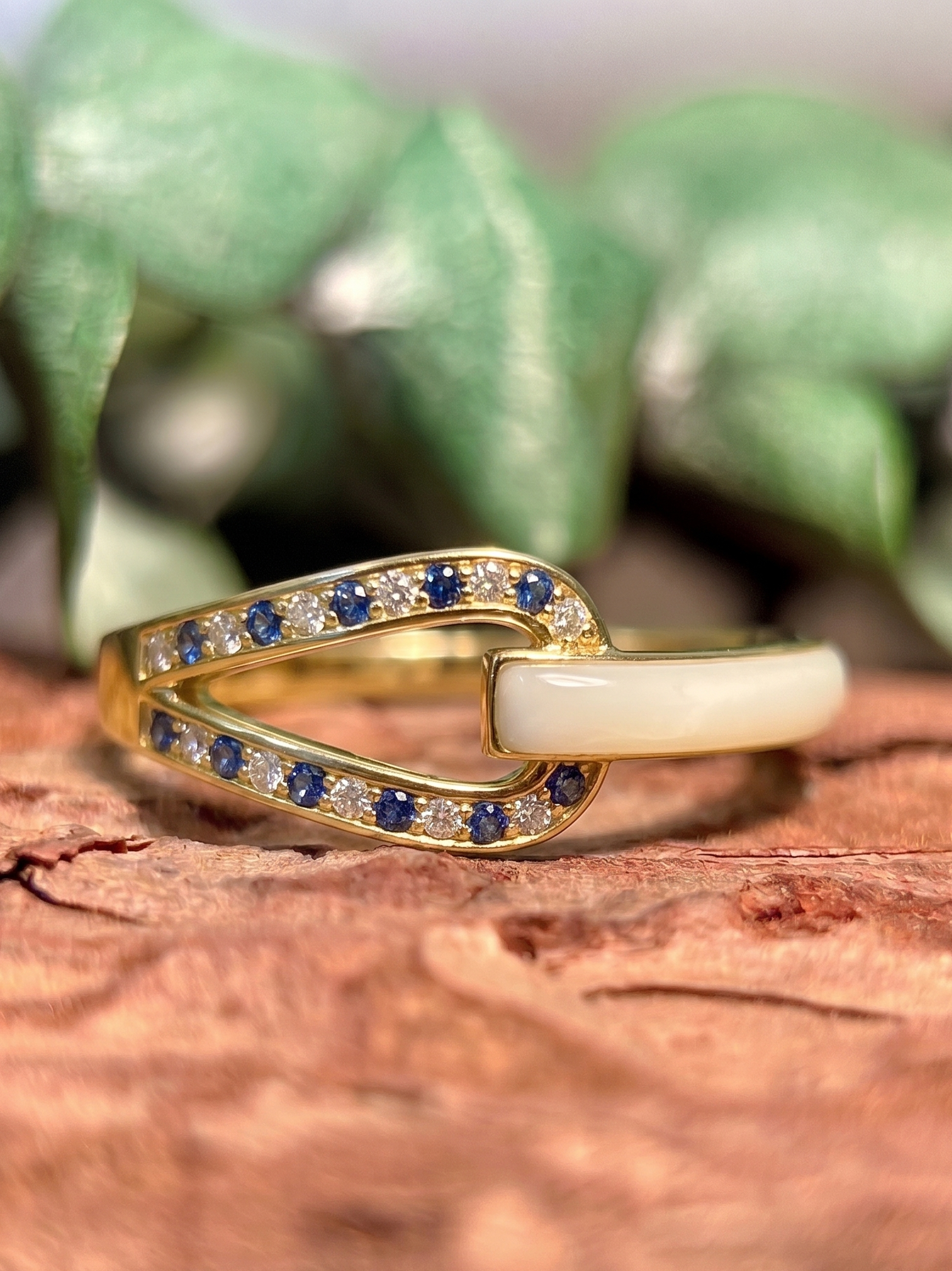 The Amber Ring