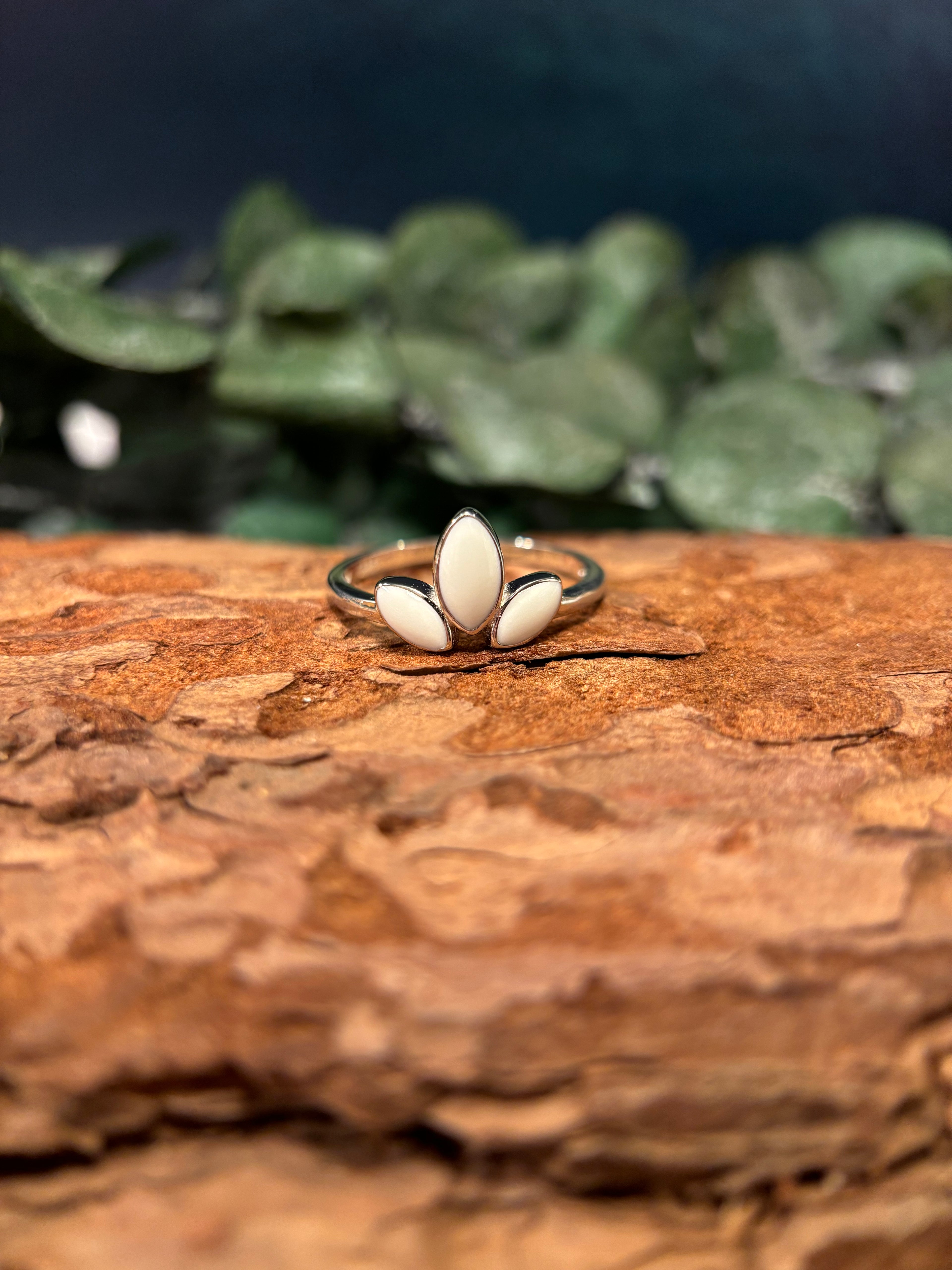 The Lilly Ring