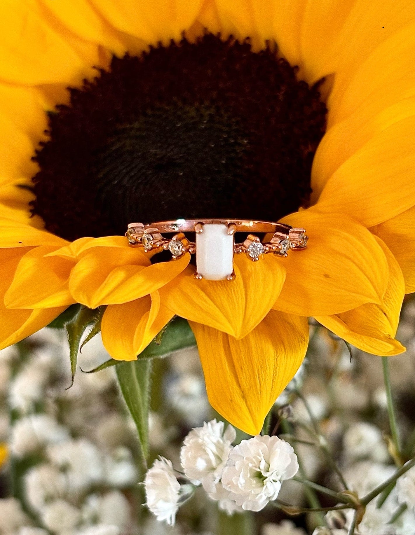 The Elvira Ring
